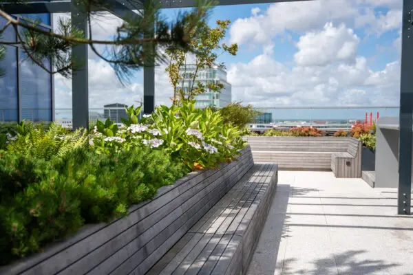 Contemporary rooftop landscape designed by landscape architects, featuring biodiverse planting, integrated seating, trees, and outdoor social space. The green roof contributes to urban biodiversity, climate adaptation, stormwater management, and employee wellbeing within a high-density city environment.