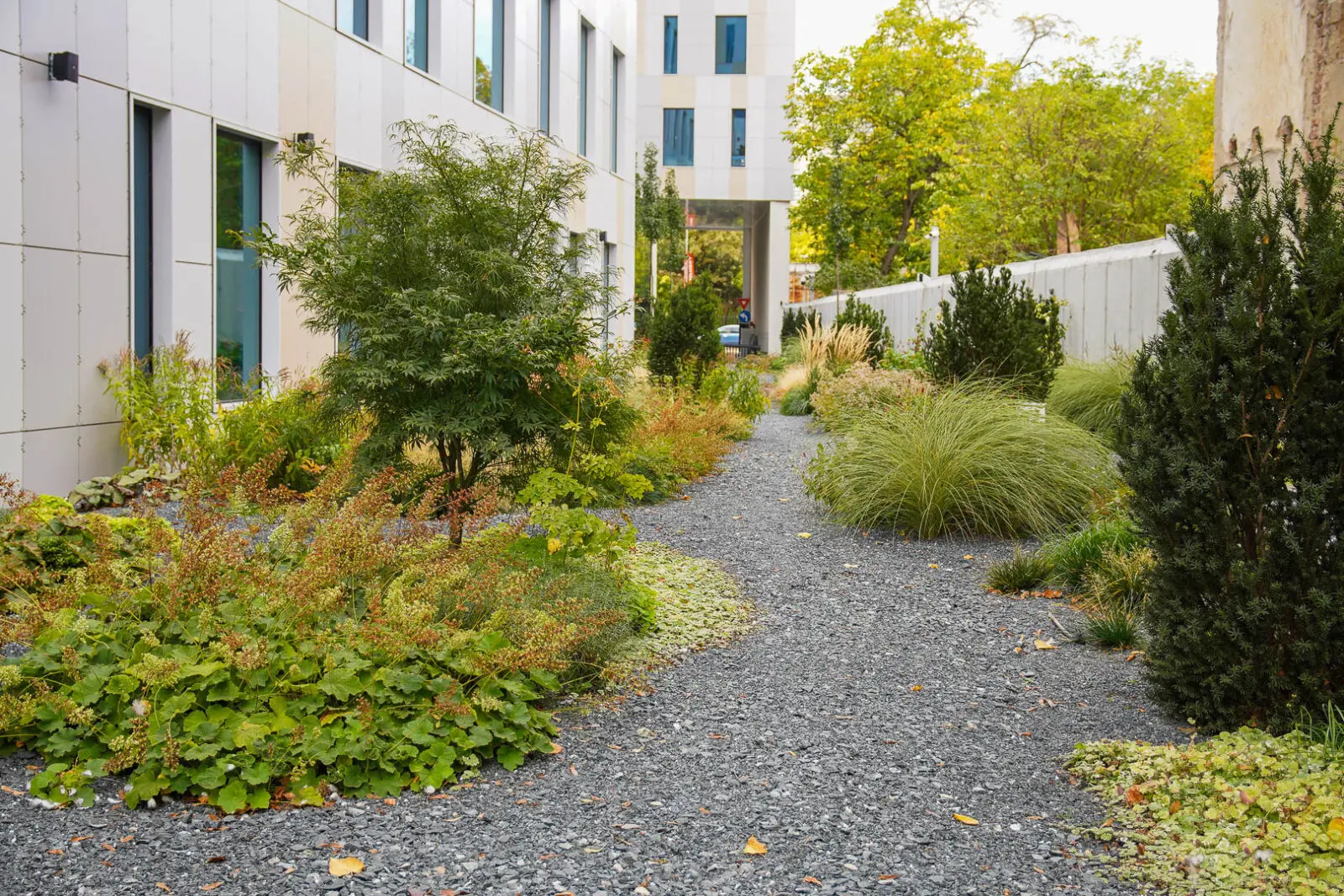 Nature-based landscape architecture integrated into a contemporary residential development, featuring diverse perennial planting, ornamental grasses, shrubs, and small trees. The climate-adaptive garden enhances biodiversity, stormwater management, and resident wellbeing while creating a resilient green environment between buildings.