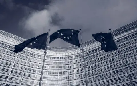European Union flags displayed in front of a major EU institutional building in Brussels. The image represents European policymaking, international cooperation, and advocacy on issues including climate adaptation, biodiversity, sustainable development, and landscape policy.