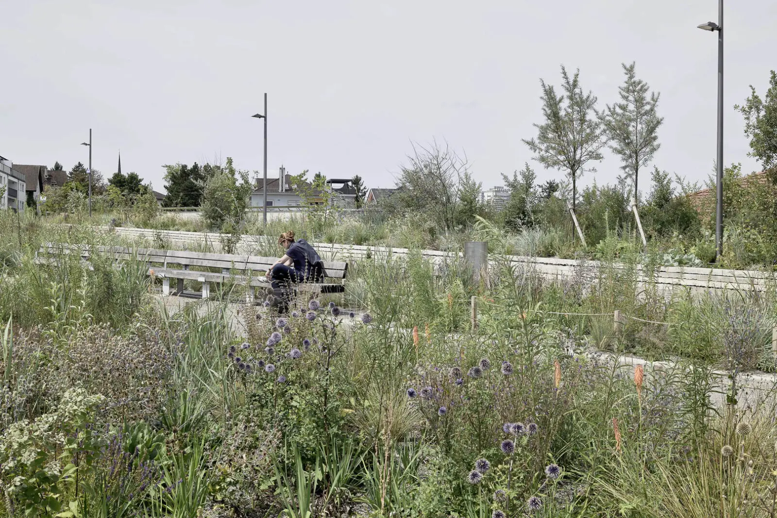 Ecologically designed rooftop landscape featuring species-rich planting, seating areas, and accessible pathways within the Überlandpark, created above the Schwamendingen motorway enclosure in Zurich.